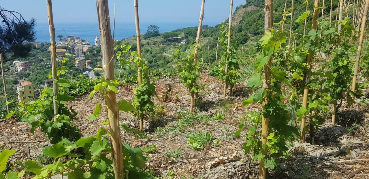 Il Soppalco Corniglia Exterior foto